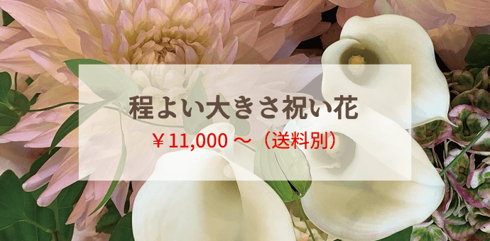 程よい大きさ祝い花 ¥10800(送料別)