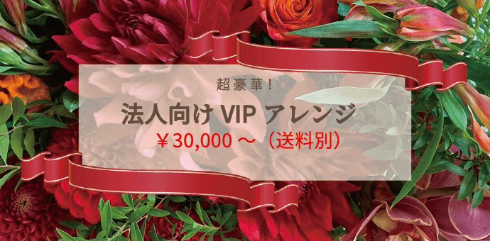 VIPアレンジ ¥12960・¥30000〜（送料別）